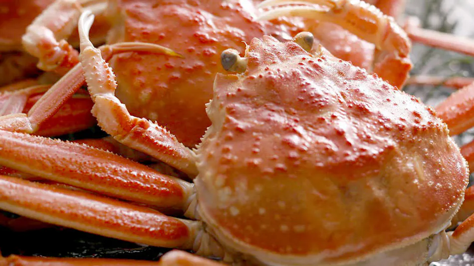 Yumura Onsen Asanoya