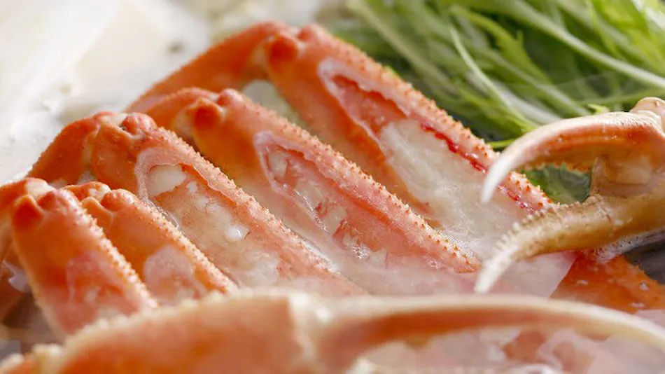 Yumura Onsen Asanoya