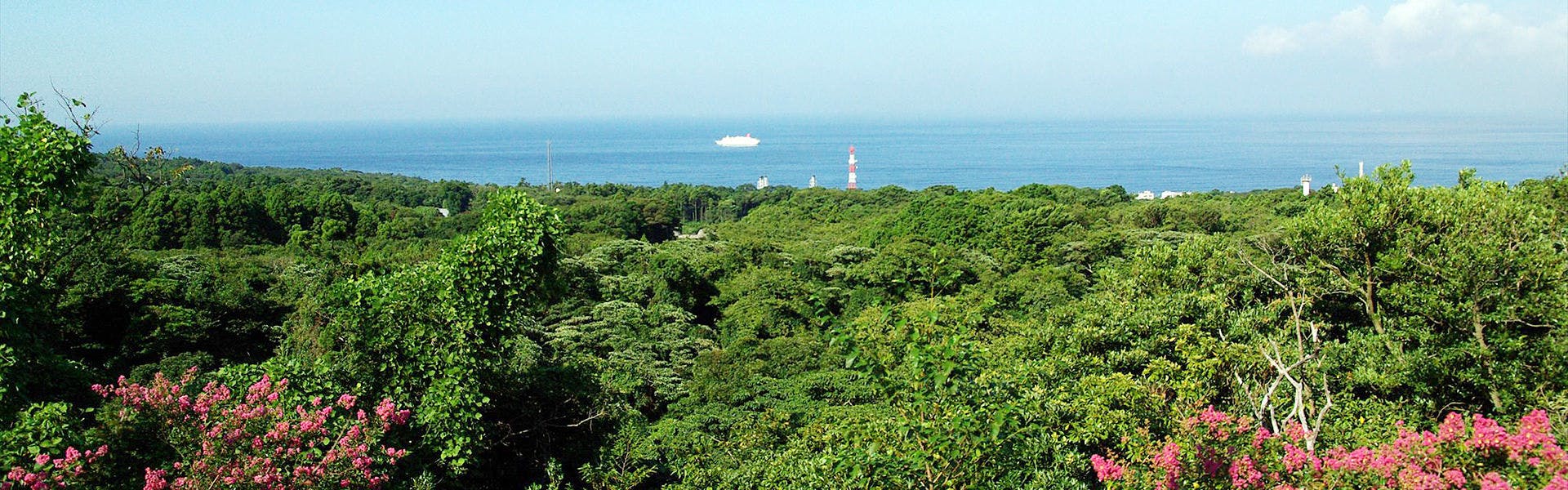 Izu Oshima Hotel & Resort Mashio