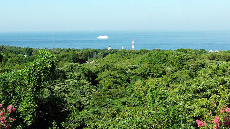 Izu Oshima Hotel & Resort Mashio