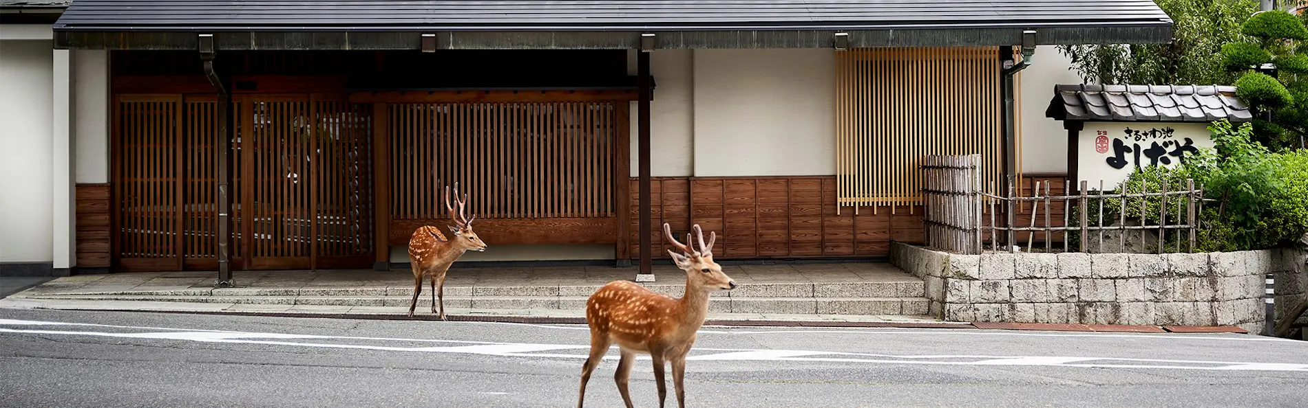 さるさわ池 よしだや