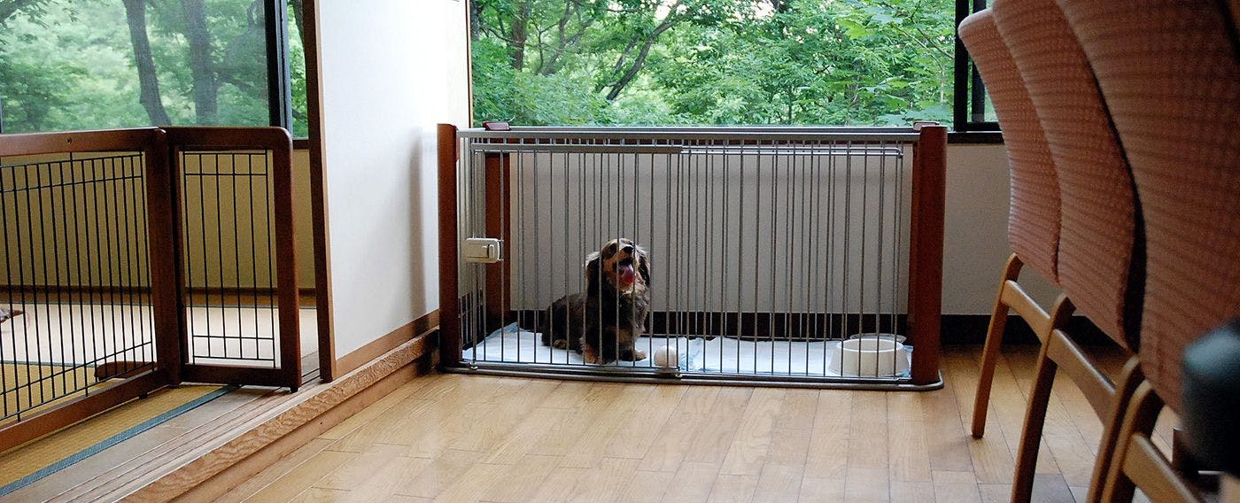 คอทเทจสุนัข