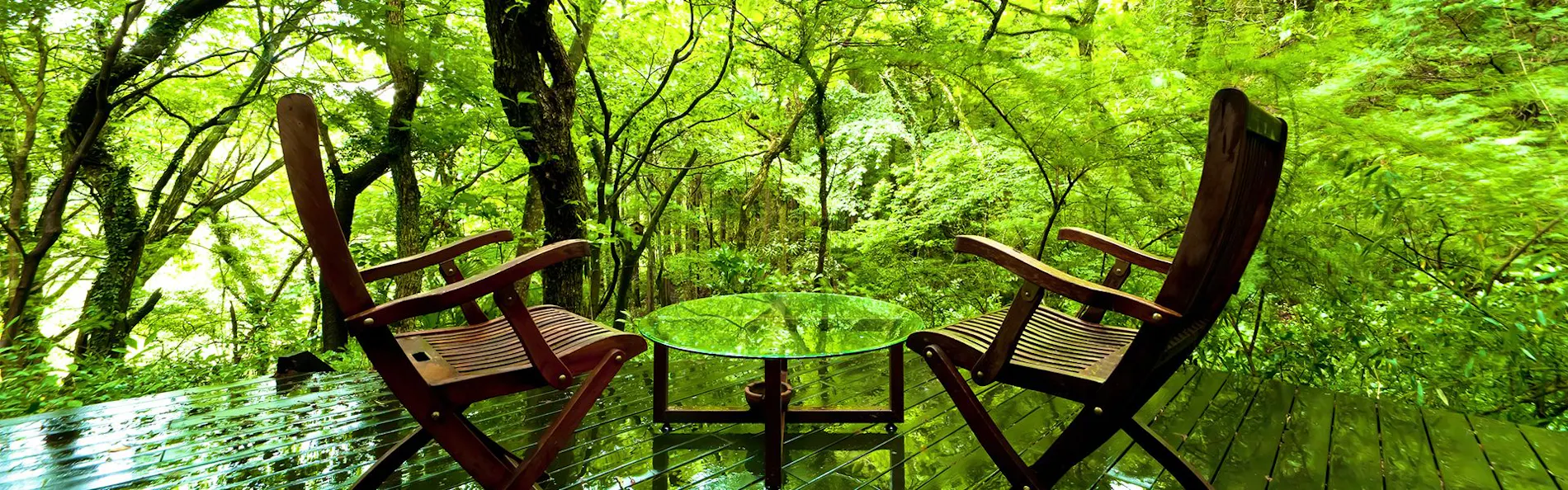 はなれの宿 千の森
