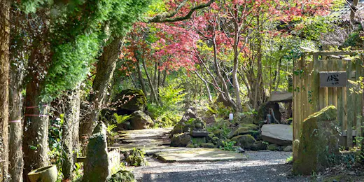 はなれの宿 千の森