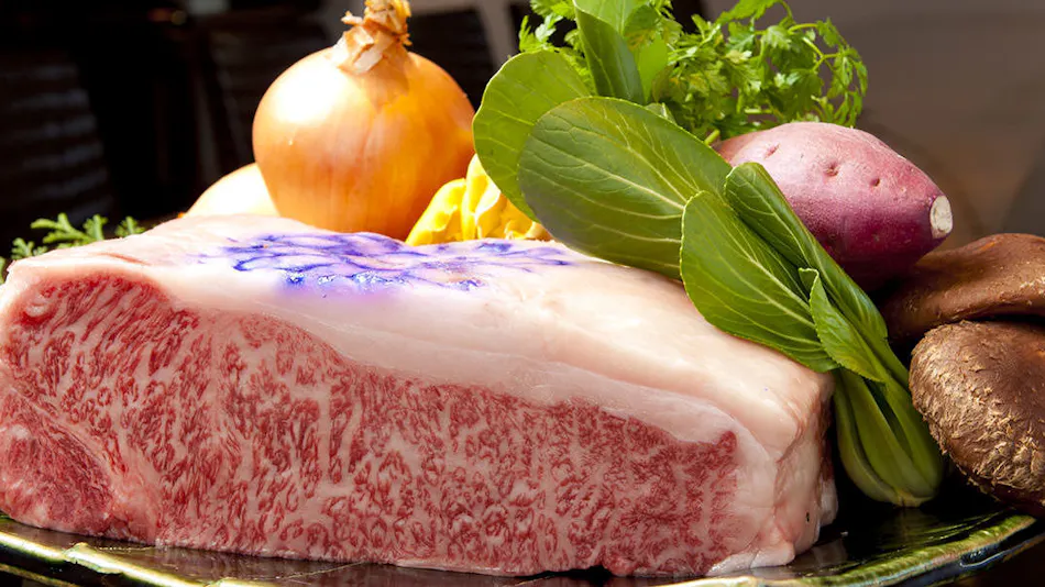 Hotel La Suite Kobe Harborland