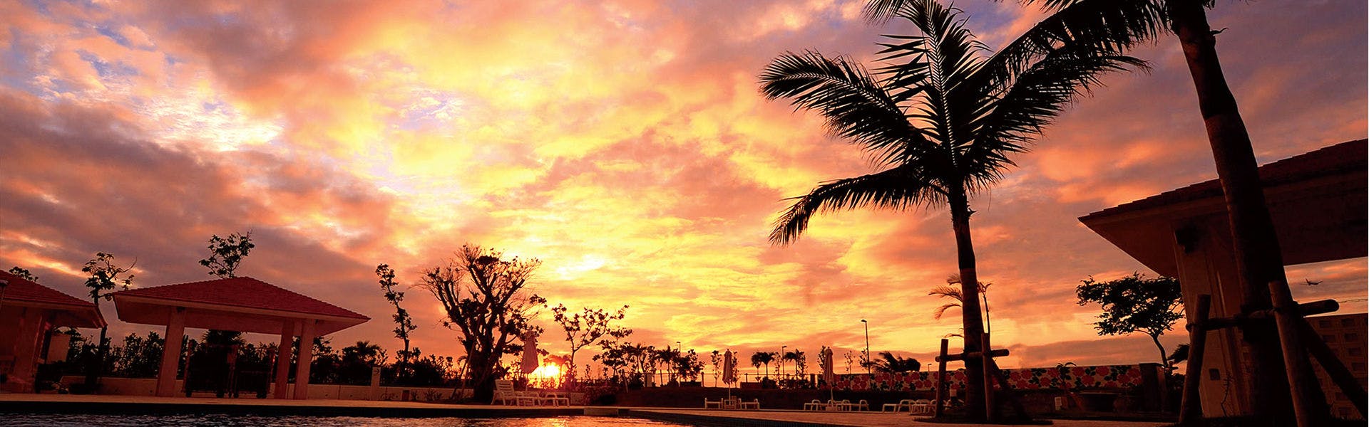 ガーデンプール