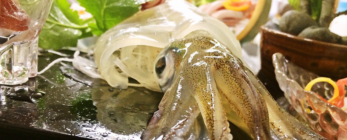 客室露天風呂の宿　奥伊根温泉　油屋別館　和亭