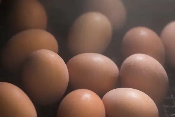 ไข่