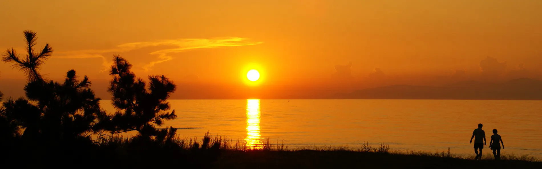 サンセットビューホテル けひの海