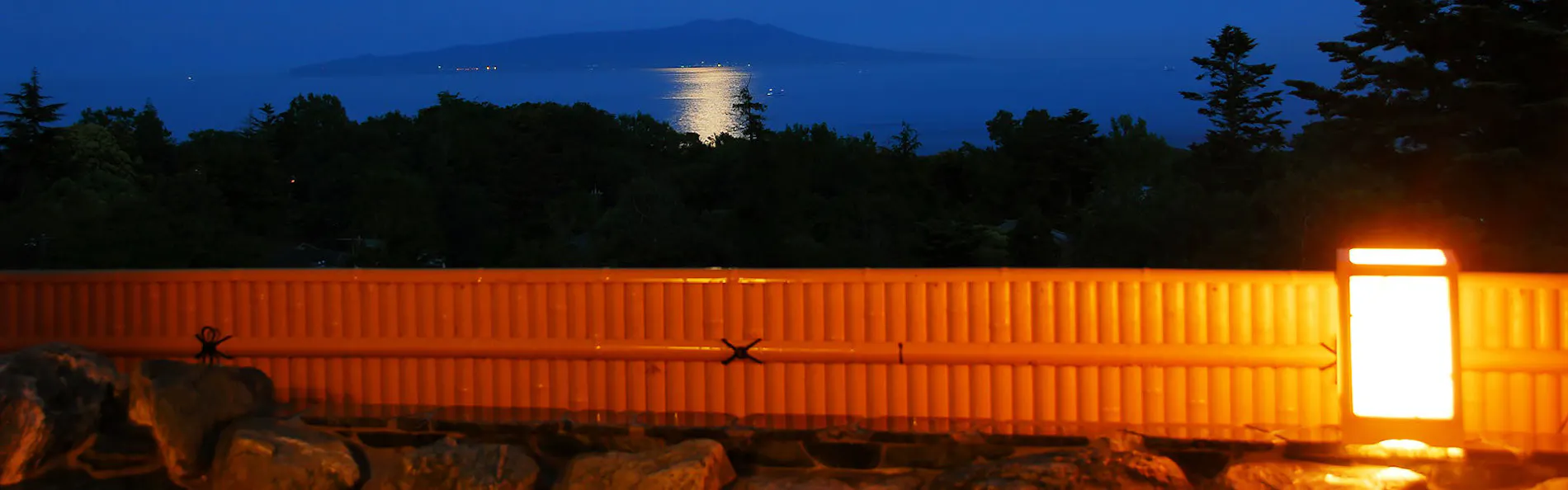 ほまれの光 水月