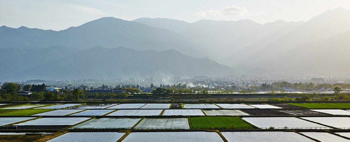 สี่ฤดูของที่พักนากามิโนะ