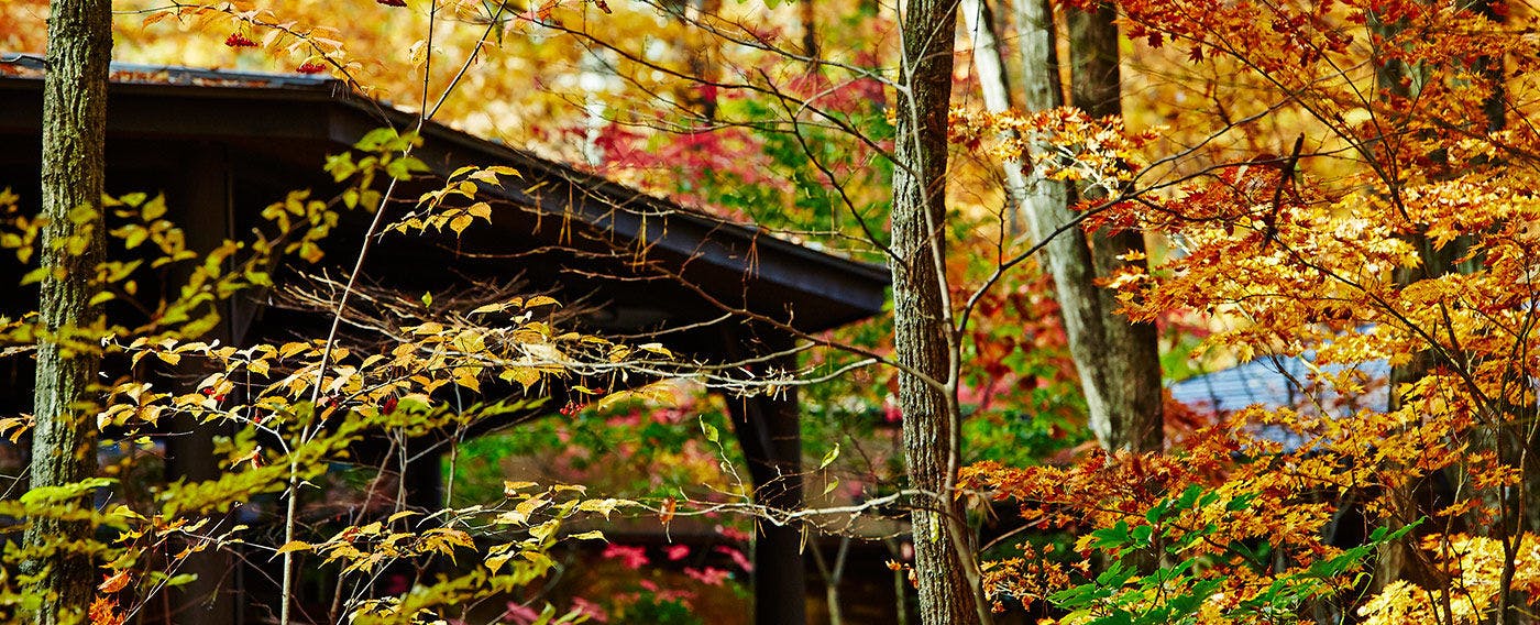 สี่ฤดูของที่พักนากามิโนะ