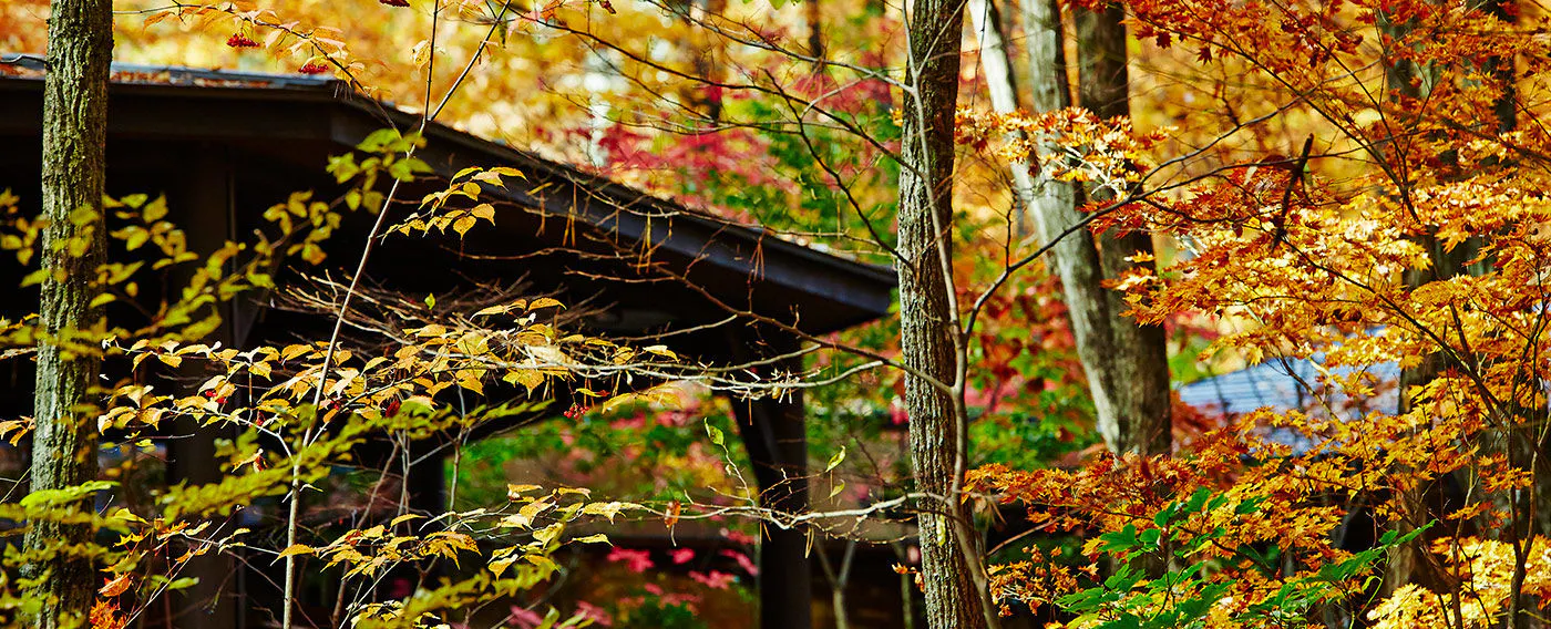 สี่ฤดูของที่พักนากามิโนะ