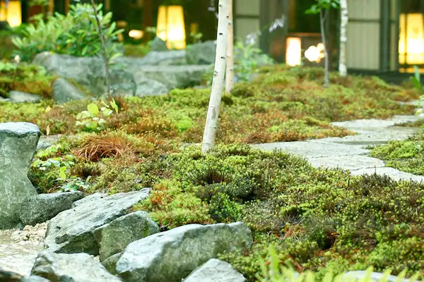 ลานกลาง