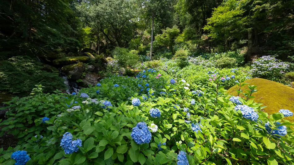 Gio Onsen Ryosan