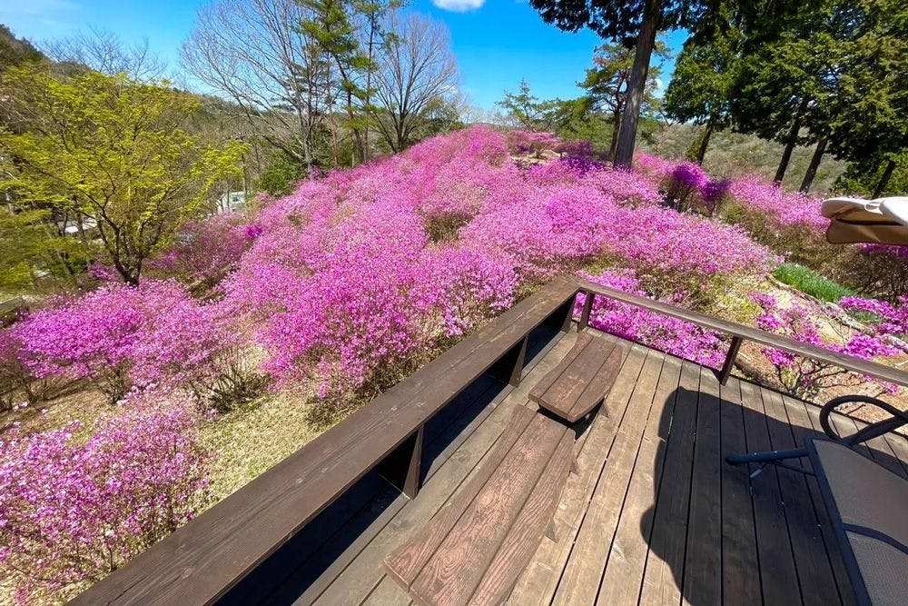 鬼岩温泉 了山