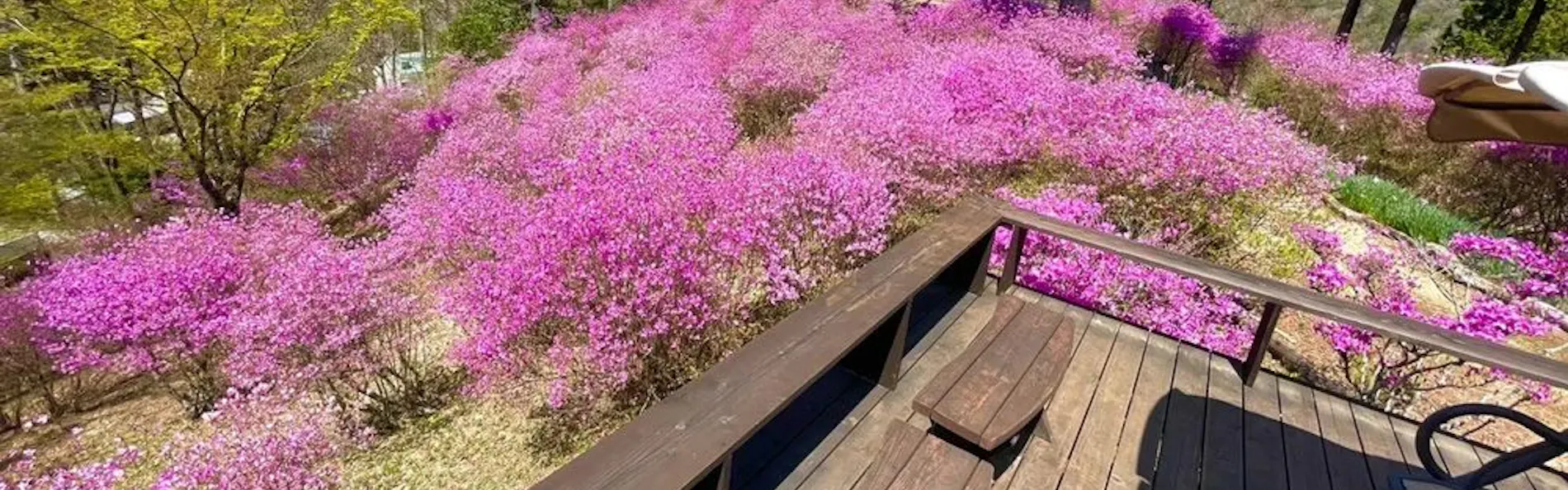 鬼岩温泉 了山
