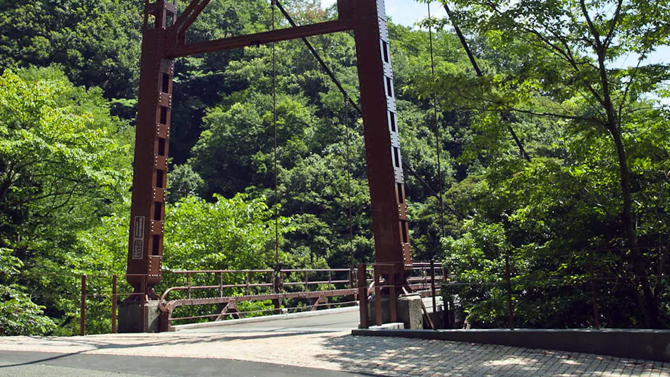 Kinnotake Tonosawa (Adult Only)