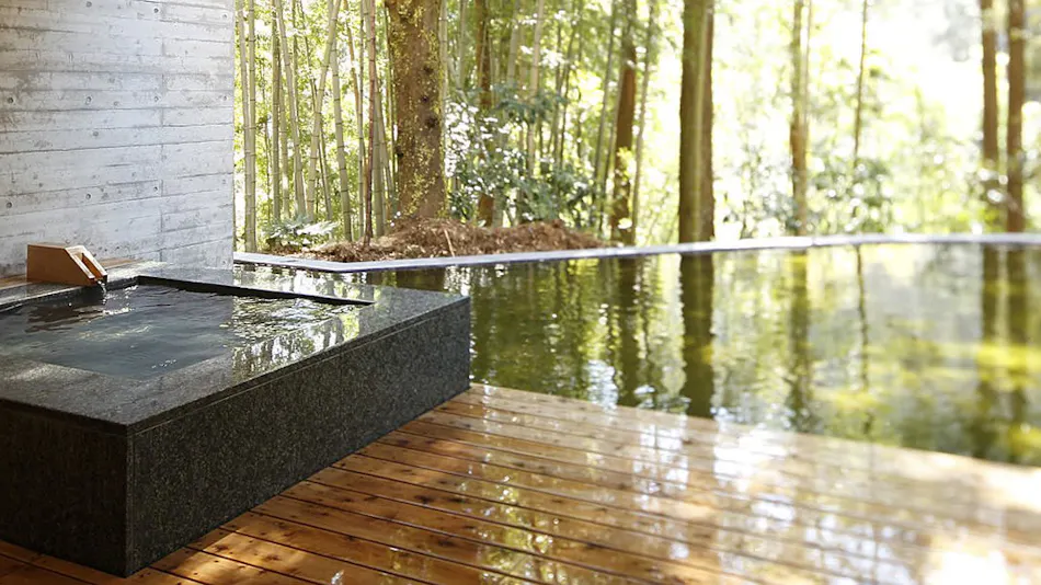 Kinnotake Tonosawa (Adult Only)