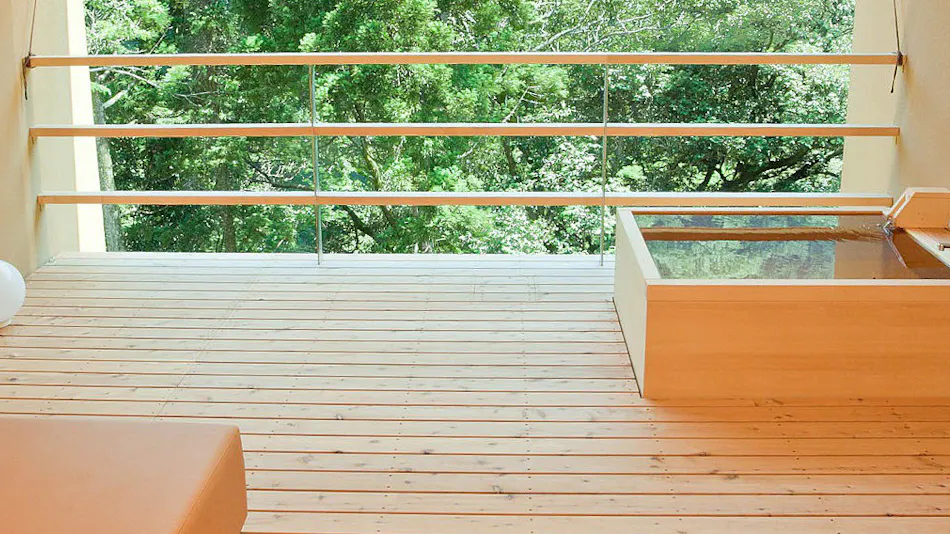 Kinnotake Tonosawa (Adult Only)