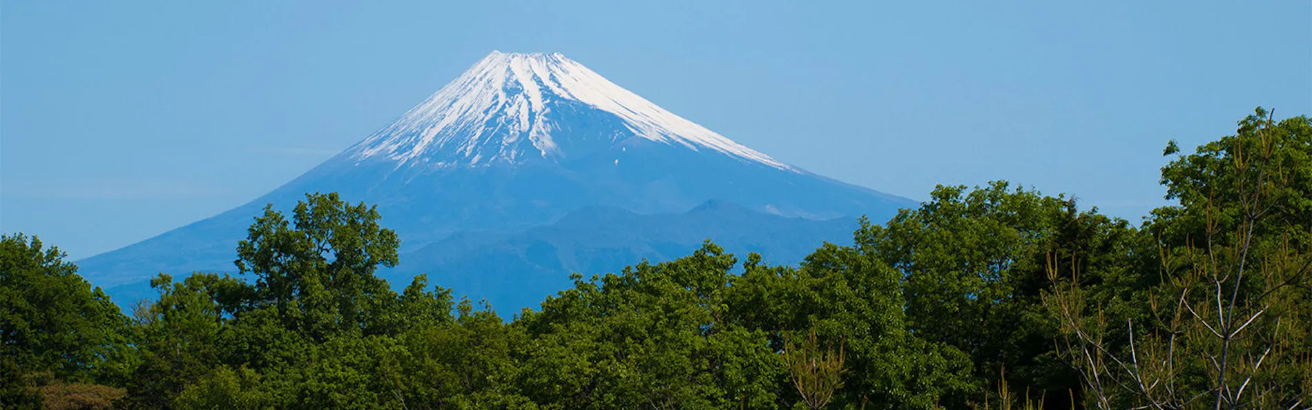 ホテルラフォーレ修善寺 山紫水明