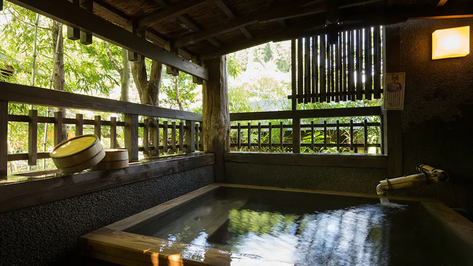 Kurokawa Onsen Oyado Noshiyu