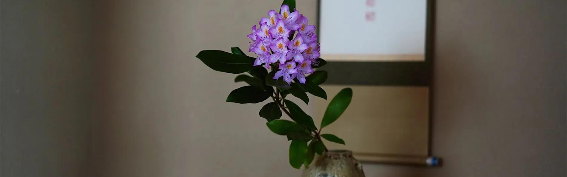 浅間温泉 菊之湯