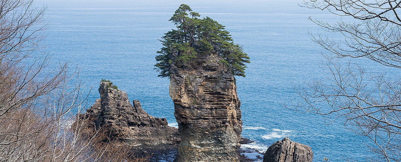 渚亭たろう庵
