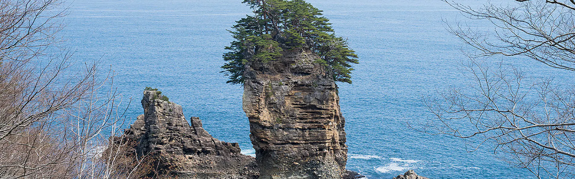 渚亭たろう庵