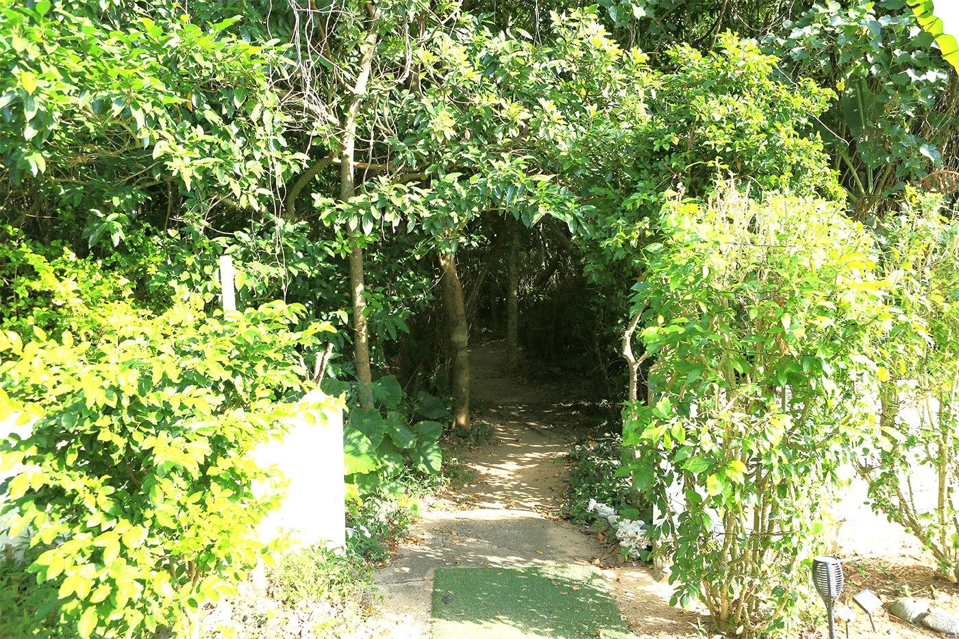 木々の間を抜けてビーチへ