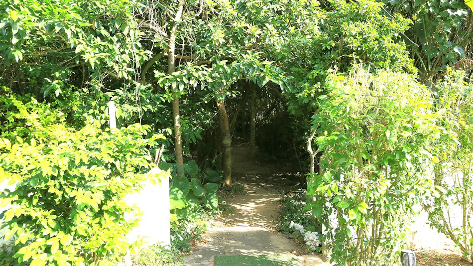 Nata Beach Villa