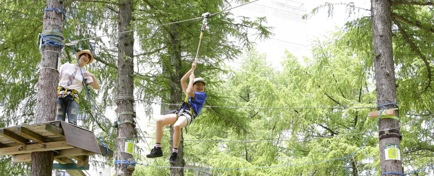 ツリーアドベンチャー