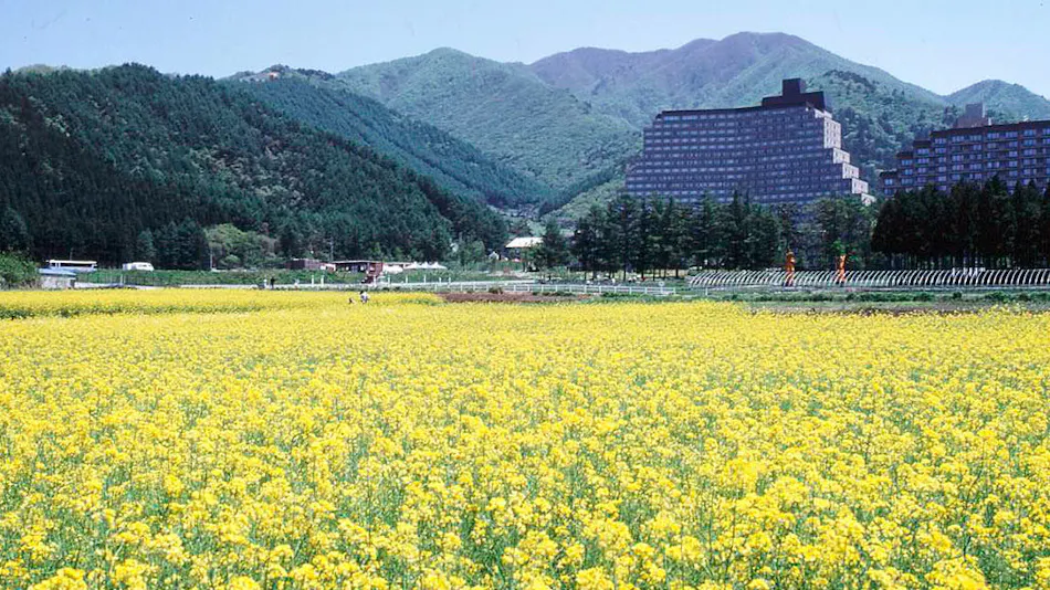 Hotel Listel Inawashiro Wing Tower