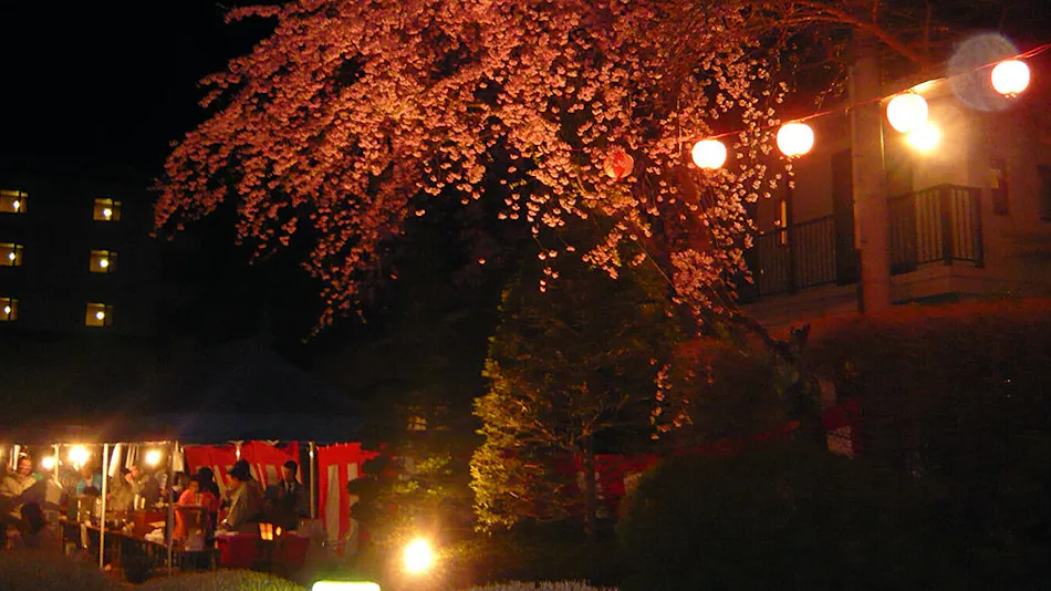 Kawaji Onsen Yukemuri no Sato Kashiwaya