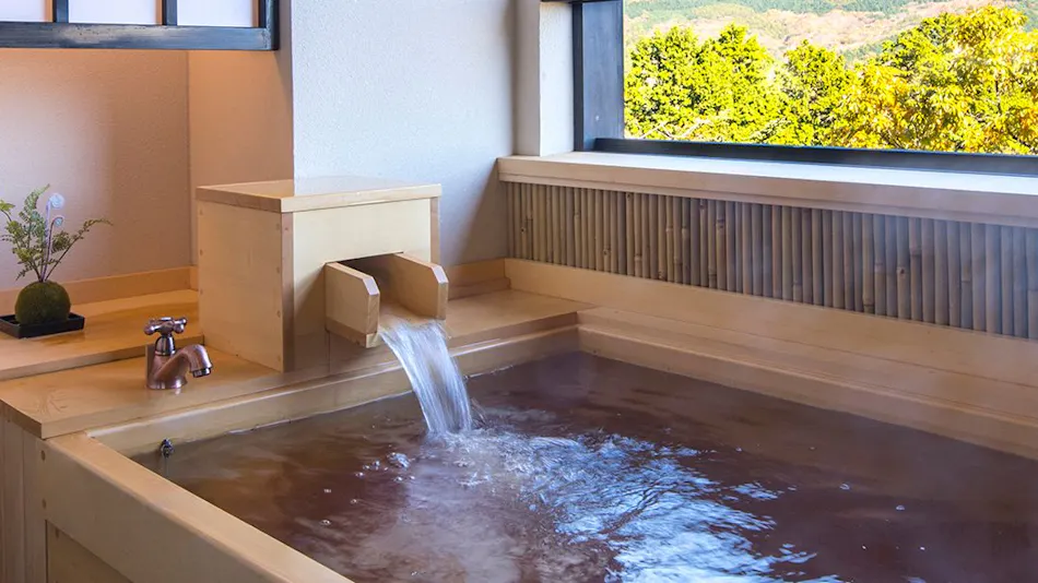 Setsugetsuka Annex Suiun (Kyoritsu Resort)