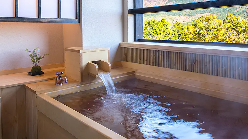 Setsugetsuka Annex Suiun (Kyoritsu Resort)