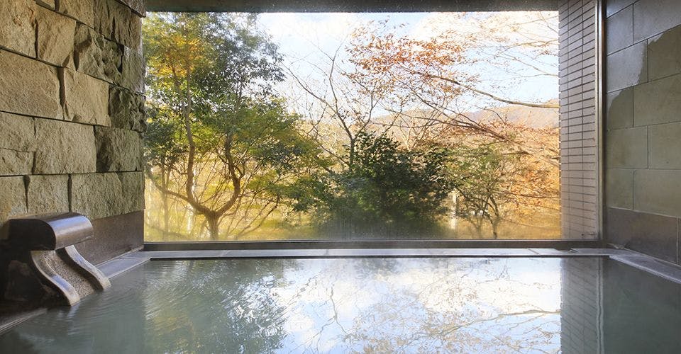 天然温泉の内風呂