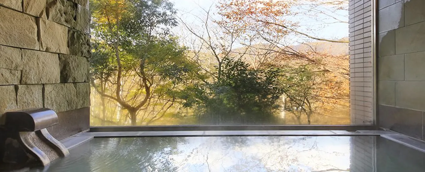 天然温泉の内風呂