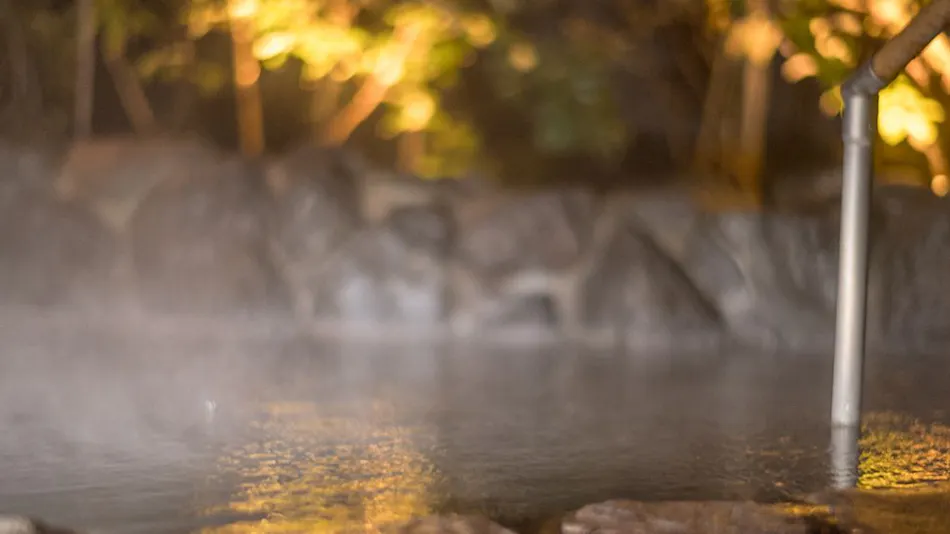 Yufuin Bettei Kazenomori: An Annex Inn with Natural Hot Spring Flow