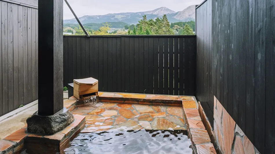 Ryokan Minawa