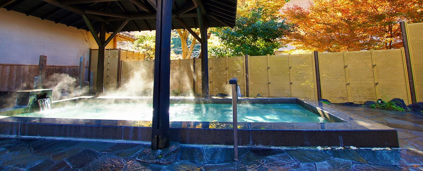 伊賀のかくれ宿 赤目温泉隠れの湯 対泉閣