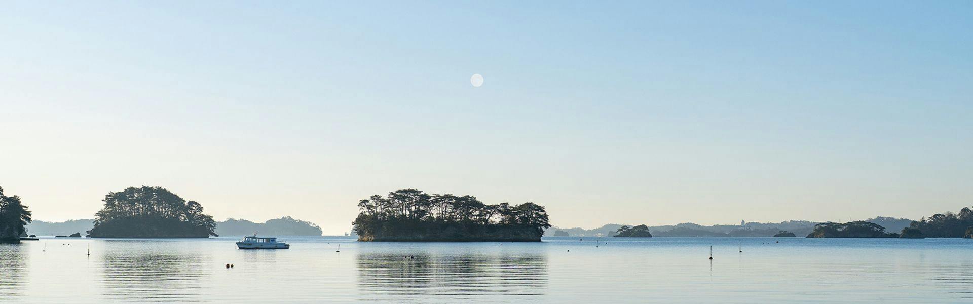 YOKI MATSUSHIMA