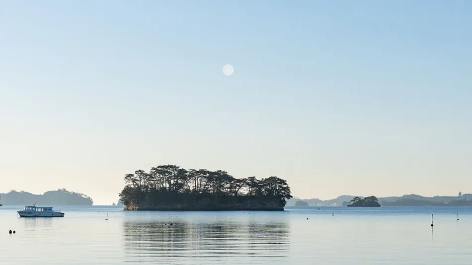 YOKI MATSUSHIMA