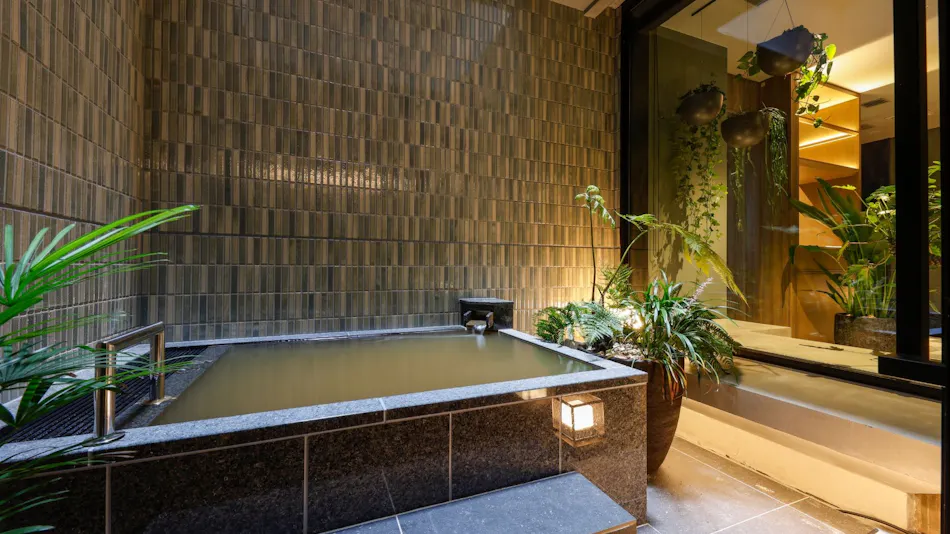 Arima Onsen Hotel nebi