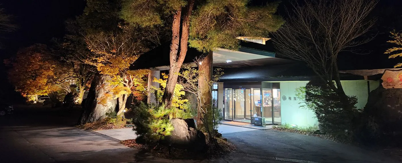 รูปลักษณ์ภายนอกในตอนกลางคืน