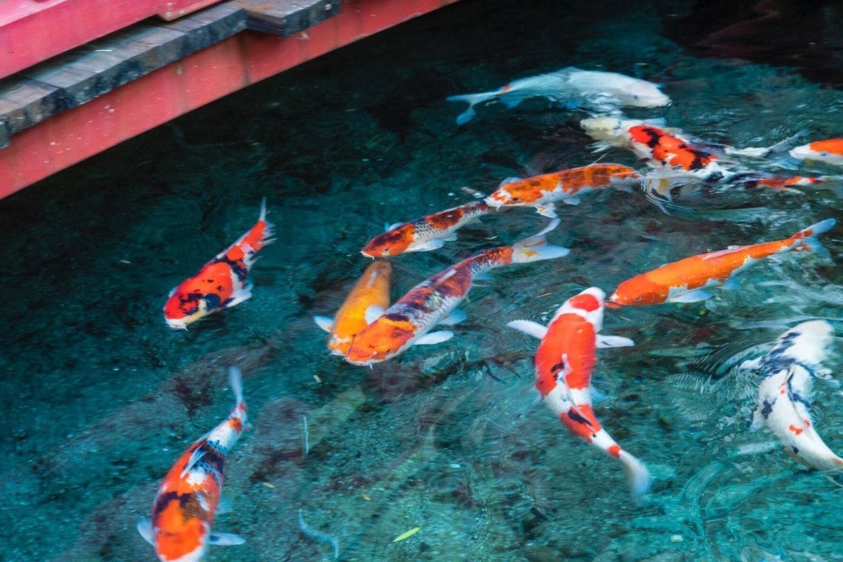 ลานกลาง