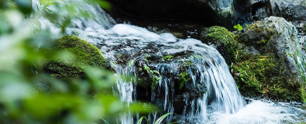 ลานกลาง