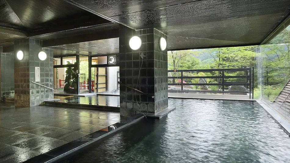 Hotel Sunshine Kinugawa