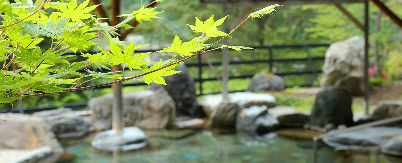 Hotel Sunshine Kinugawa