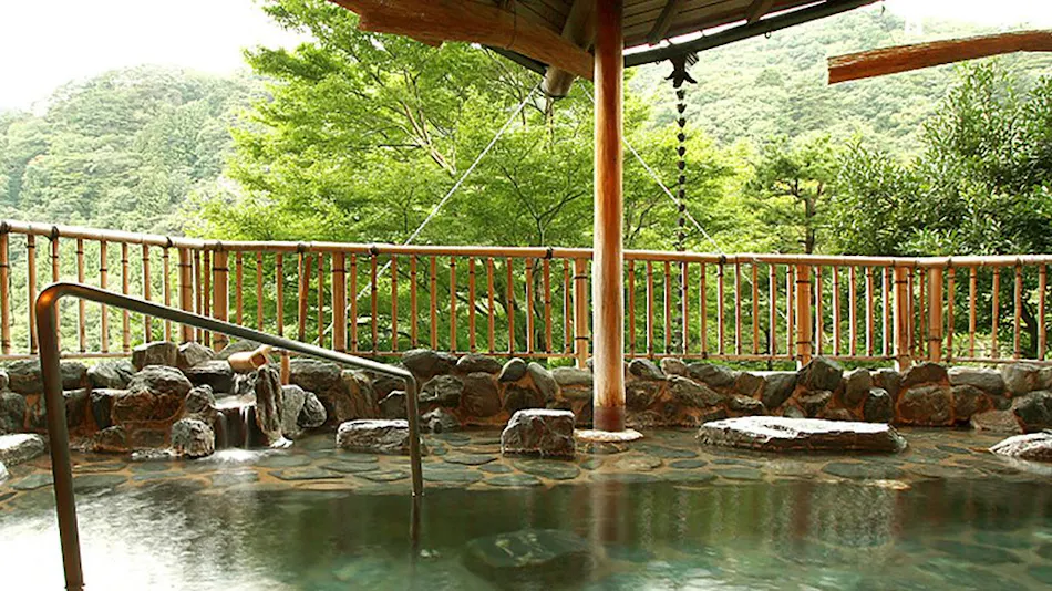 Hotel Sunshine Kinugawa